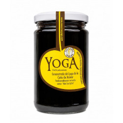 Miel De Caña Yoga 500 G